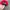 jimbeam racing nascar caps photo 3