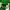 Dior Y2K Luxury Short Wanita green white photo 3