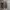 Vans Streetwear Casual Sneakers Pria brown photo 5