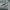 Nike Streetwear Y2K Windbreaker Pria gray photo 3