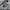 Nike Streetwear Y2K Windbreaker Pria gray photo 2