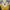 Vintage Y2K Wanita yellow navy photo 3