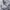 Zara Minimalist Casual Casual shirt Pria gray photo 7