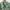 Uniqlo Minimalist Casual Casual shirt Pria green photo 6