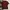jersey adidas ac milan photo 6