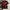 jersey adidas ac milan photo 1