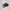 Converse Casual Sneakers Pria white black photo 3