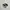 Converse Casual Sneakers Pria white black photo 1