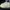 Reebok Casual Sneakers Pria Cream