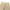 Dolce & Gabbana Y2K Luxury Wanita khaki tan photo 4