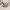 Helm Motor Half Face SNI Elders Company photo 3