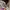 Japanese brand Grunge Indie Puffer jacket Pria multicolor photo 7