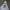 Adidas Streetwear Casual Hoody Pria white photo 2