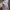 Adidas Streetwear Casual Hoody Pria white photo 4