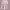 Casual Sweater Wanita pink photo 2
