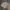 Old Navy Y2K Luxury Harrington jacket Pria tan brown photo 5