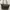Longchamp Small Long Handle photo 2