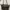 Longchamp Small Long Handle