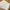 Zara Casual Maxi skirt Wanita white photo 1