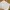 Zara Casual Maxi Skirt Wanita White