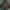 Casual Parka Pria green photo 2