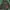 Casual Parka Pria green photo 1
