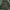 Casual Parka Pria Green