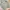 Bershka Casual Crop top Wanita green photo 1