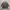 Bowbell Casual Blocktech Jacket photo 1