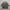 Bowbell Casual Blocktech Jacket
