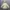 Would You Mind Puffer Jacket photo 4