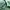 Polo Ralph Lauren Casual Casual shirt Pria green photo 4