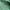 Polo Ralph Lauren Casual Casual shirt Pria green photo 3