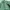 Polo Ralph Lauren Casual Casual shirt Pria green photo 2
