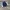 MLB Casual Outerwear Kids navy photo 1