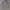 Muji Muslim Casual shirt Pria white gray photo 1