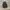 Dickies Streetwear Outerwear Kids gray photo 5