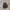 Dickies Streetwear Outerwear Kids gray photo 1