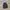 Dickies Streetwear Outerwear Kids Gray