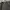 Dickies Streetwear Outerwear Kids gray photo 3