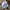 Streetwear Casual Casual pants Pria tan photo 5