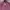 Valentino Casual Casual shirt Pria purple photo 2