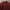 Uniqlo Casual Casual shirt Pria burgundy brown photo 2