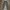 Cargo Vintage Pants Brand Hangten Teens