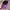 New Era Sportswear Casual Hat Pria purple photo 7