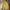 Vintage Jacket full Embroidery Pria Yellow  photo 5