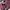 L.L.Bean Vintage Y2K Windbreaker Pria burgundy red photo 2