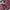 L.L.Bean Vintage Y2K Windbreaker Pria Burgundy Red