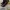 Heels Yves Saint Laurent photo 3