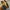 Loafers Mario Minardi photo 5